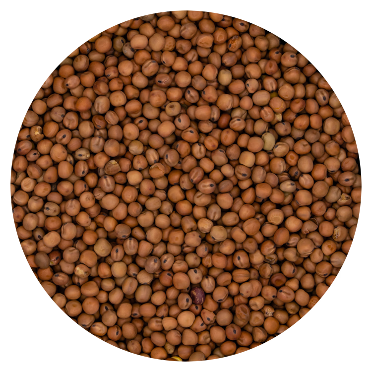 Erwten Dun Peas