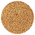 Erwten Dun Peas klein