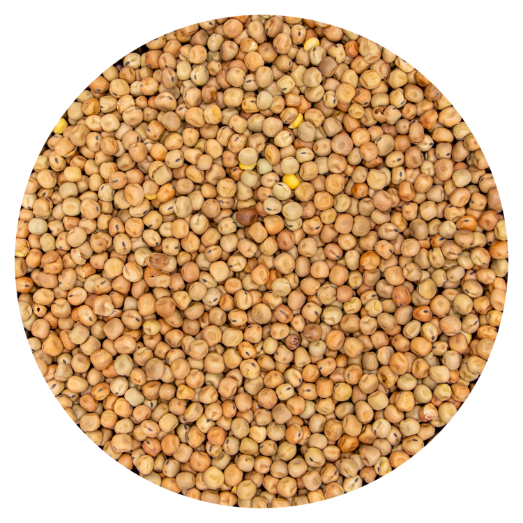 Erwten Dun Peas klein
