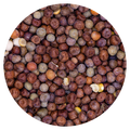 Erwten Maple Peas (Engelse)