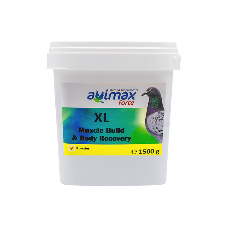 XL Muscle Build & Body Recovery 1,5 kg