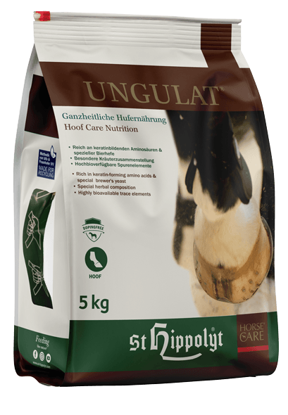 Ungulat Hufkur