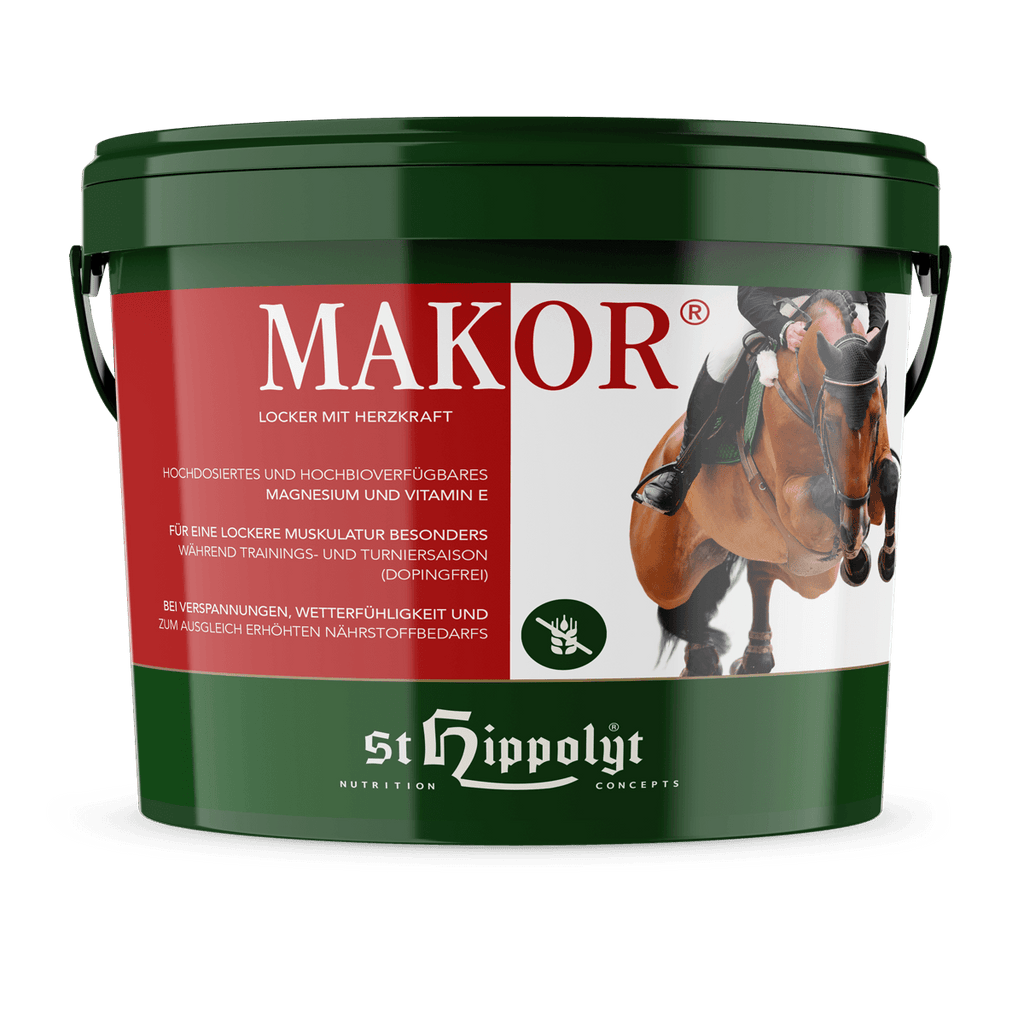 Makor - 2