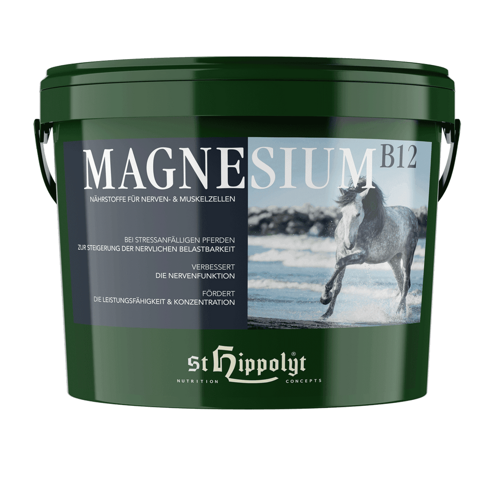 Magnesium B12 - 2