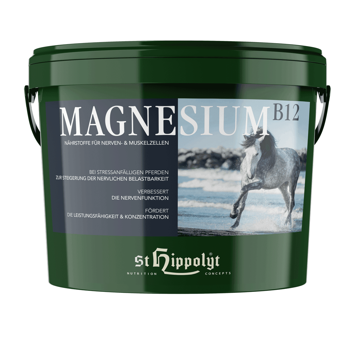 Magnesium B12 - 2
