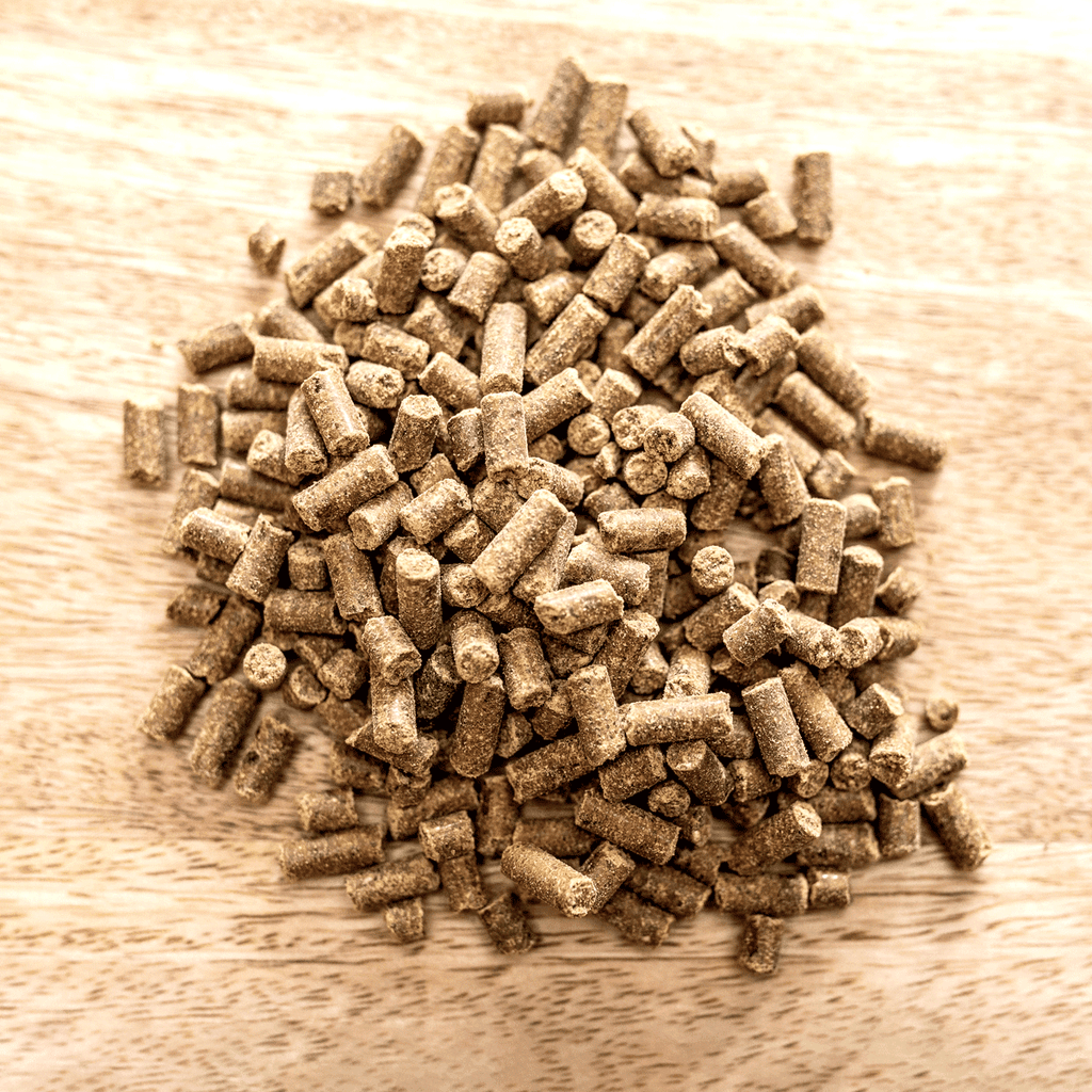 Magnesium B12 - 3