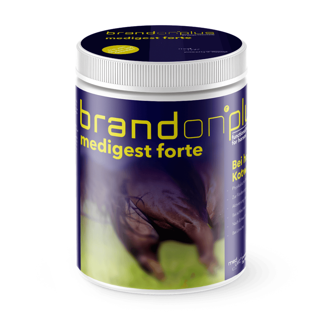 Medvetico Brandon+ Medigest Forte 1 kg
