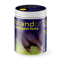Medvetico Brandon+ Medigest Forte 1 kg