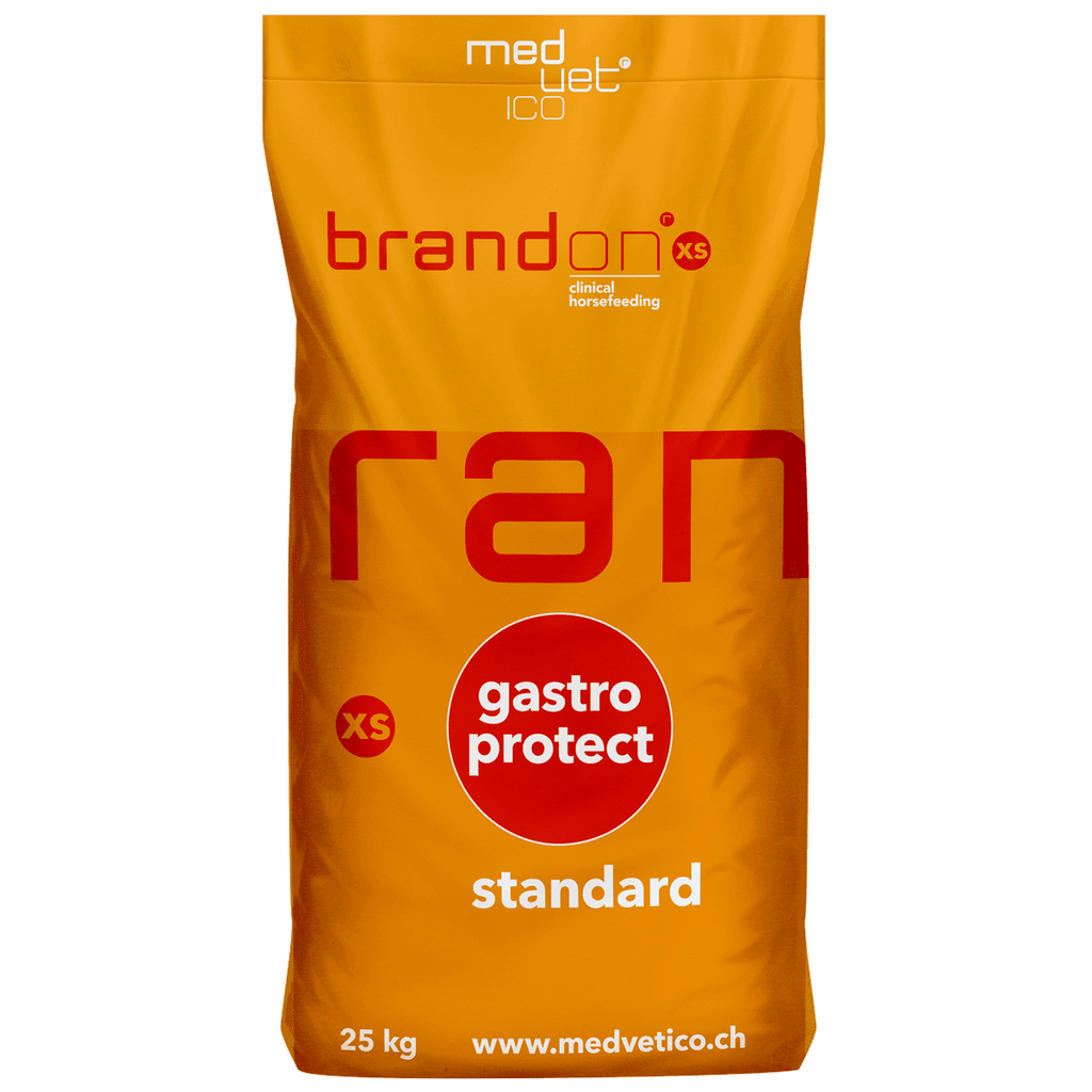 Medvetico Brandon XS "Standard" 25 kg