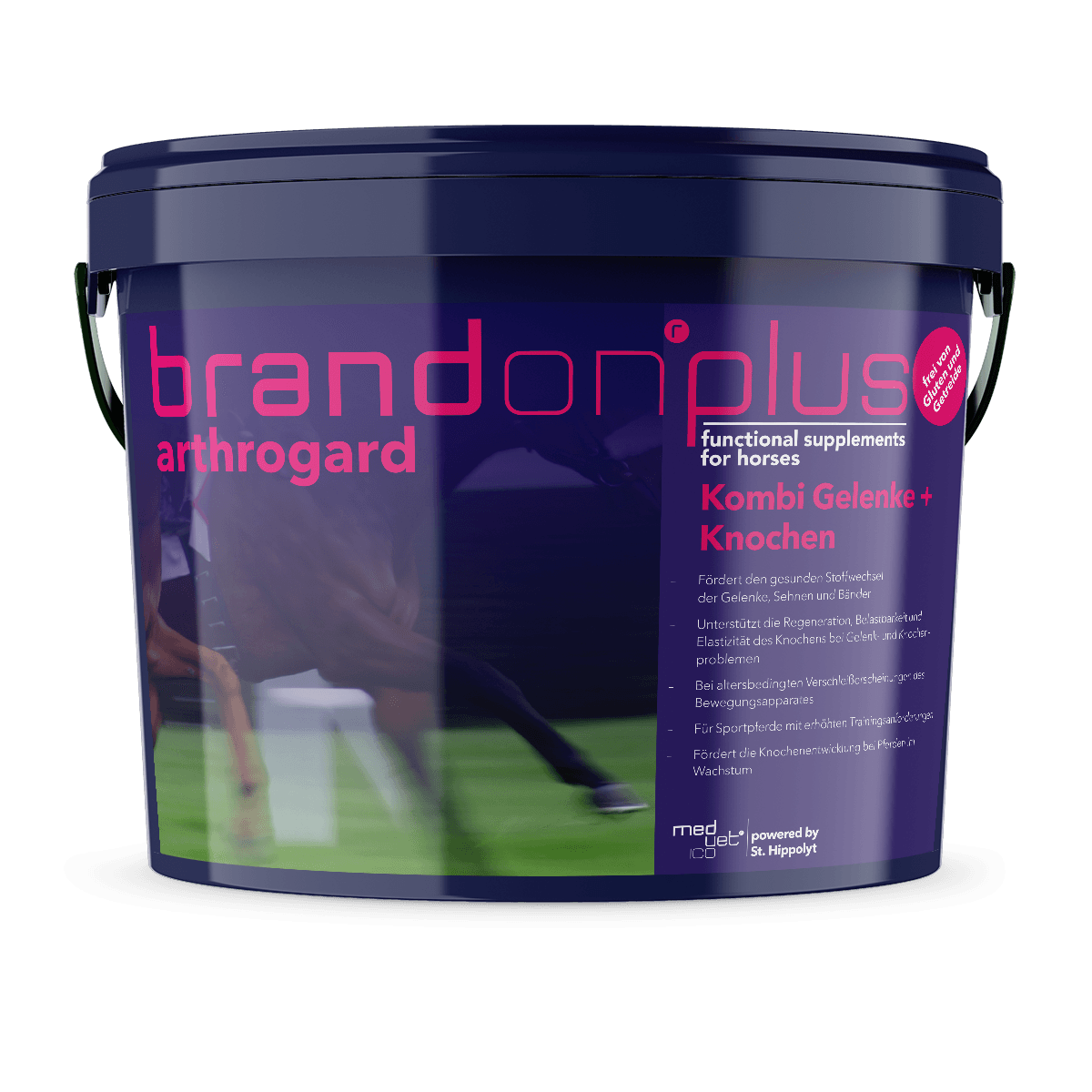 Medvetico Brandon+ Arthrogard 3 kg