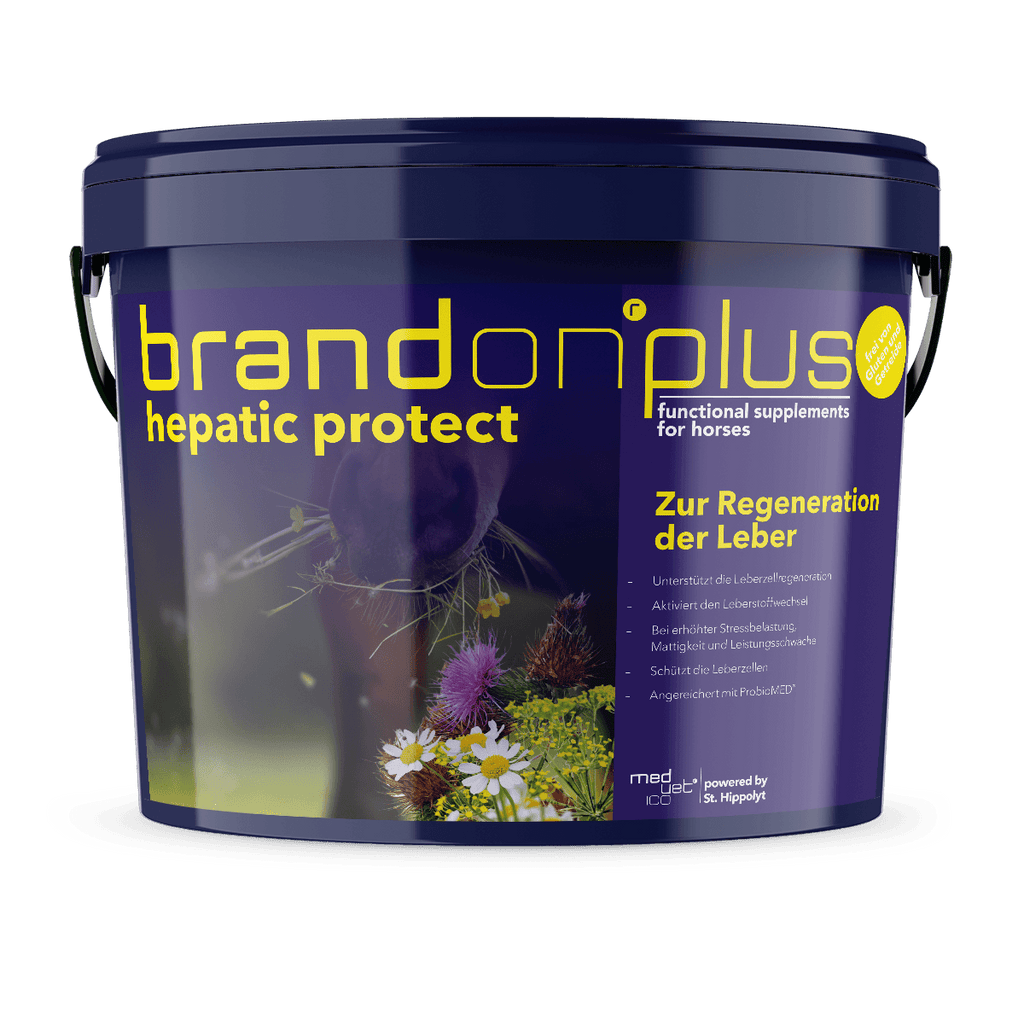 Medvetico Brandon+ Hepatic 3 kg