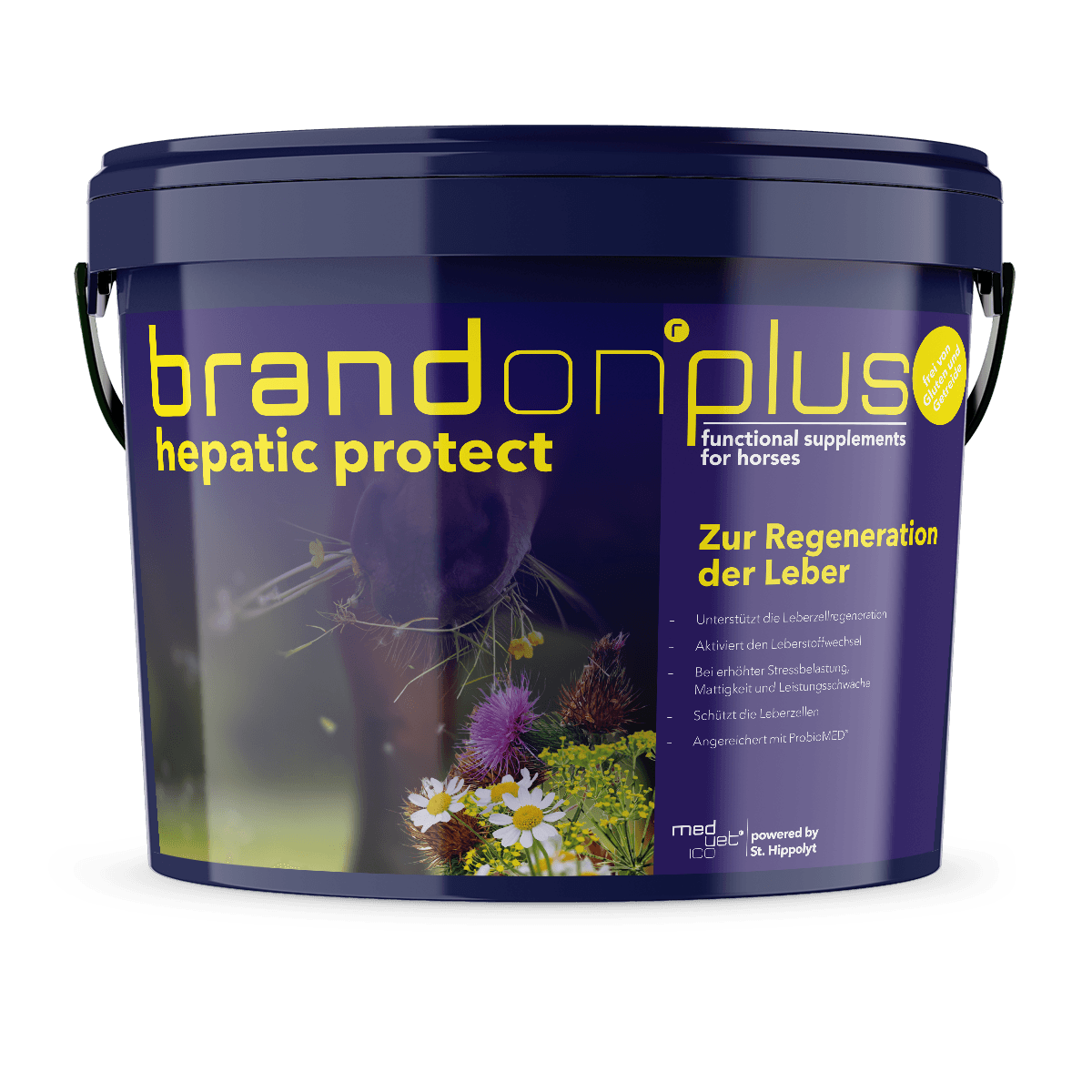 Medvetico Brandon+ Hepatic 3 kg