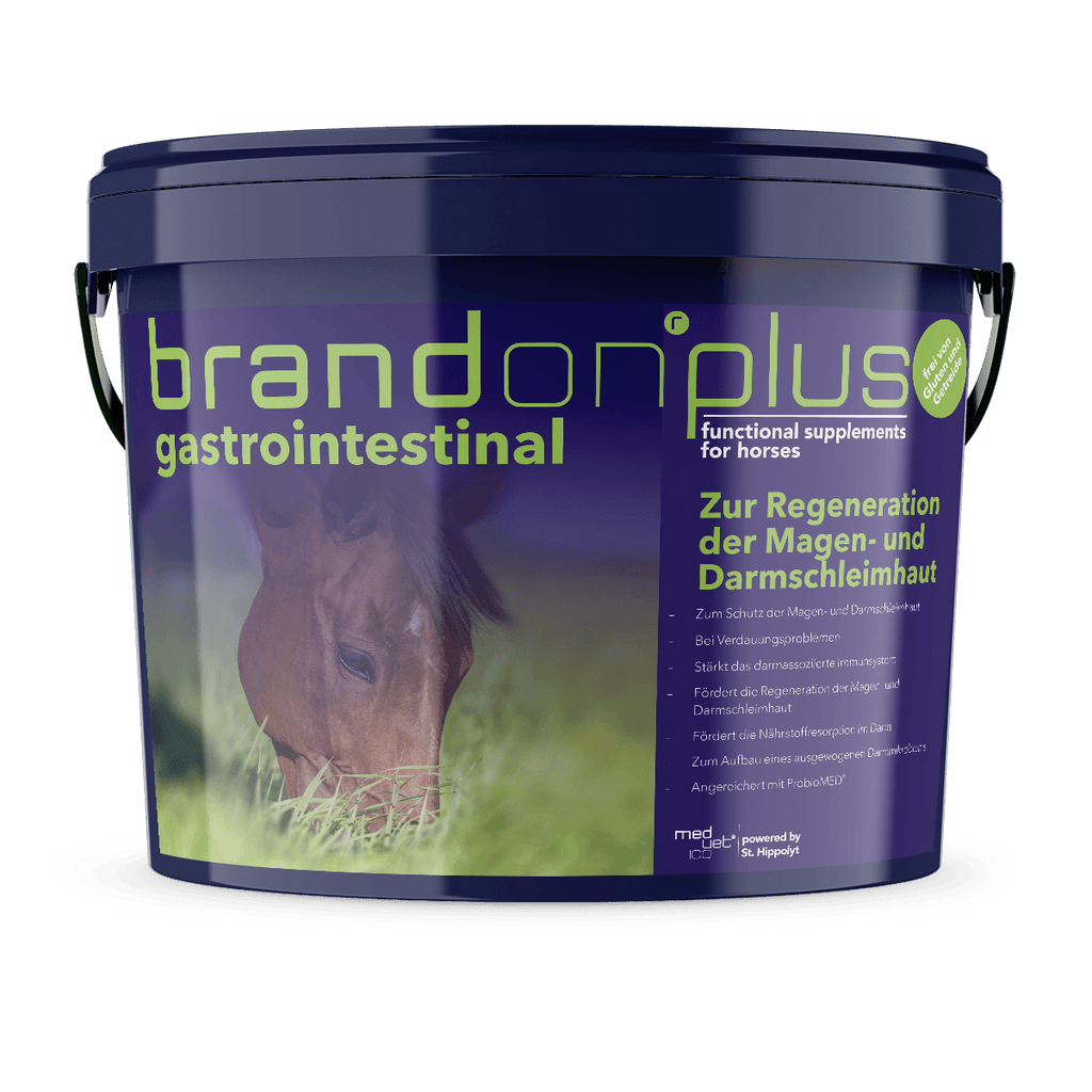 Medvetico Brandon+ GastroIntestinal 3 kg