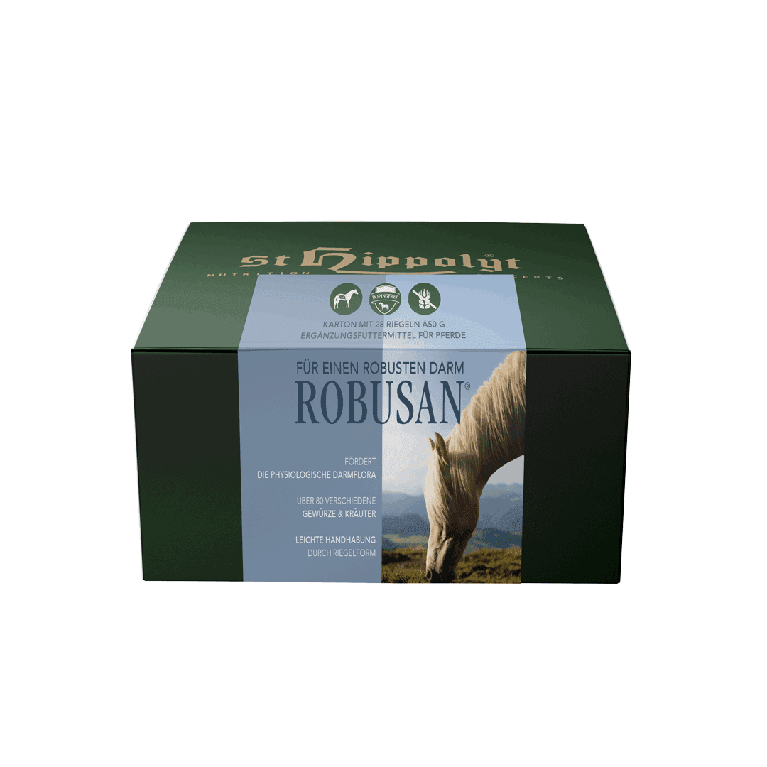 Robusan Riegel 28 x 40 g
