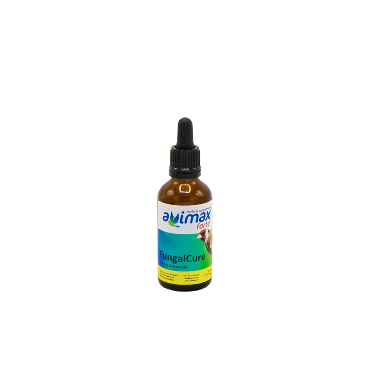 Fungal Cure 50 ml