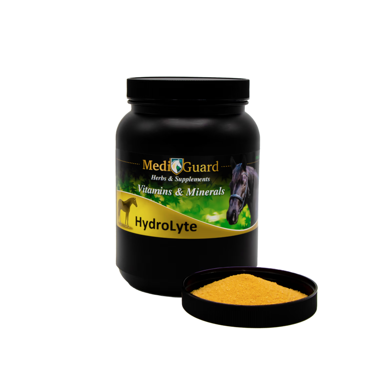 HydroLyte - 2