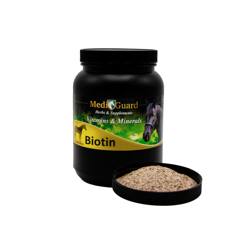 Biotine - 2