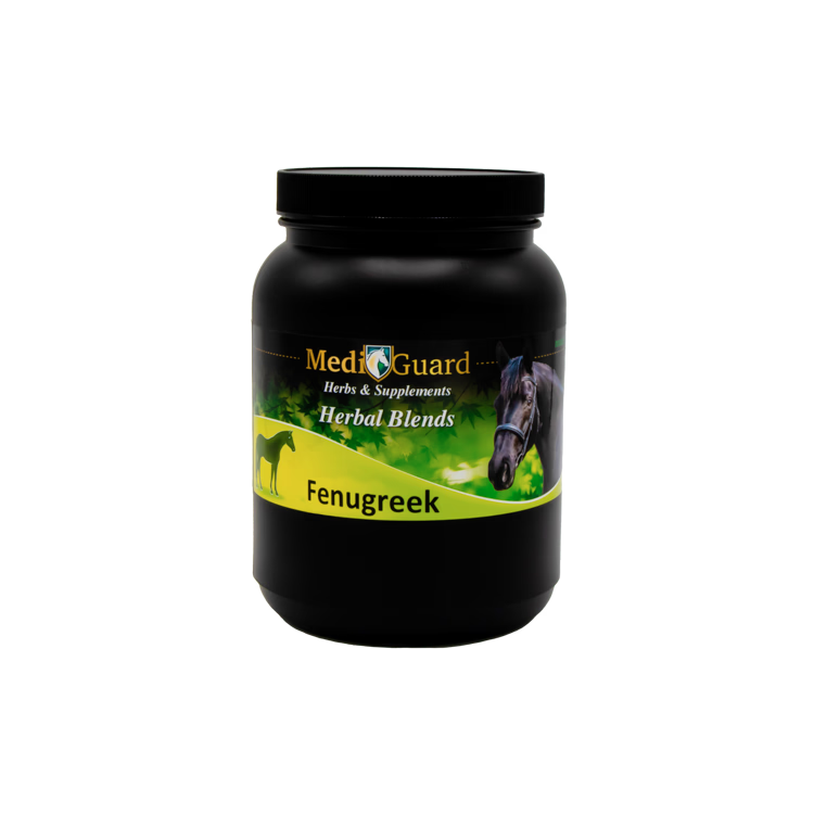 Fenugreek