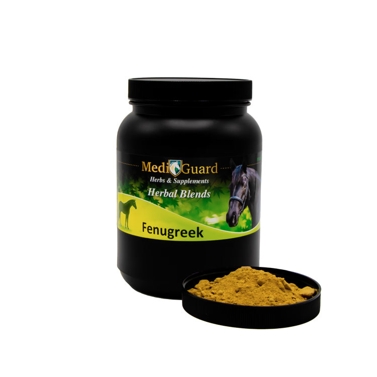 Fenugreek - 2