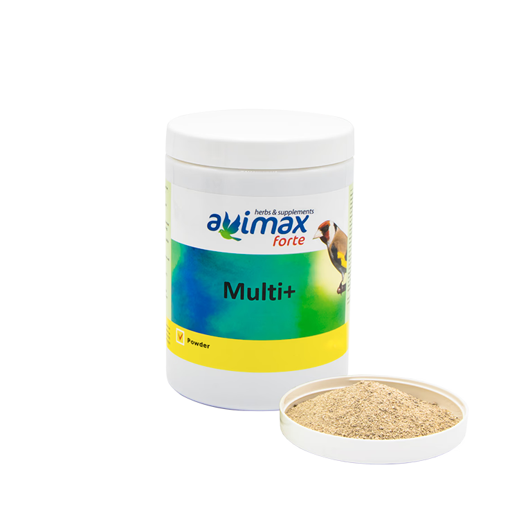 Multi+ - 3
