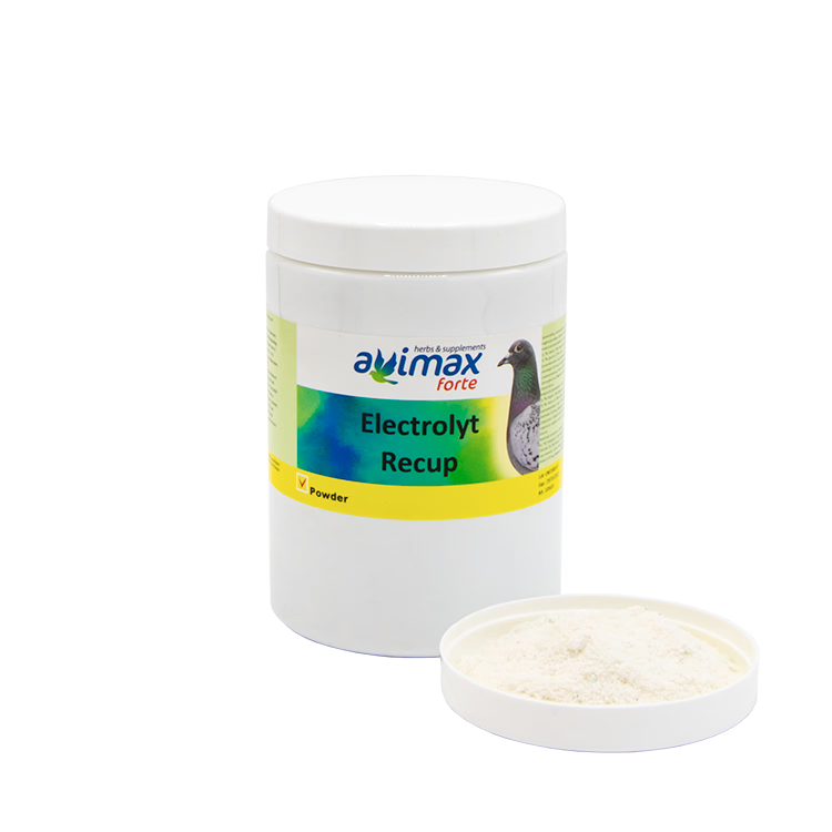 Pigeon Care Electrolyt Poeder - 2