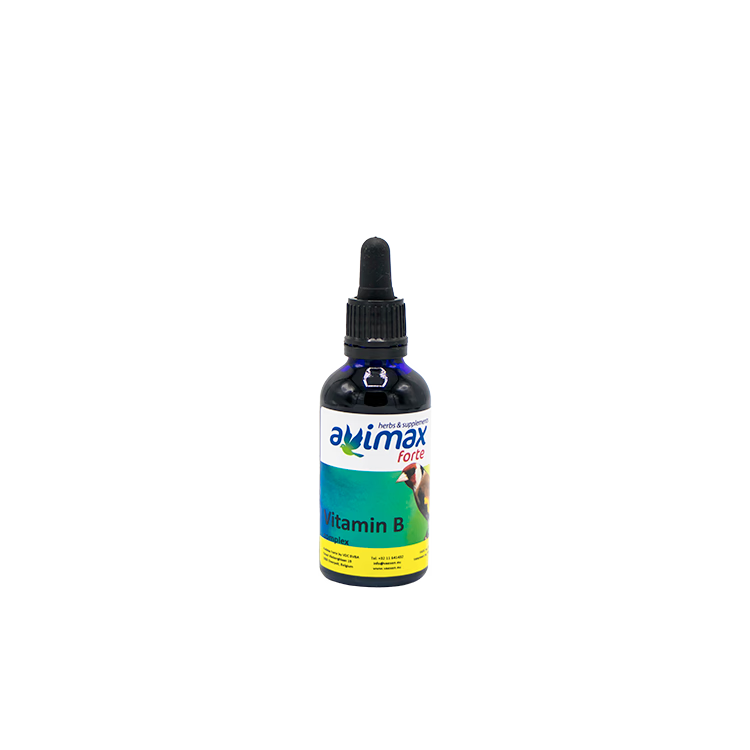 Vitamine B
