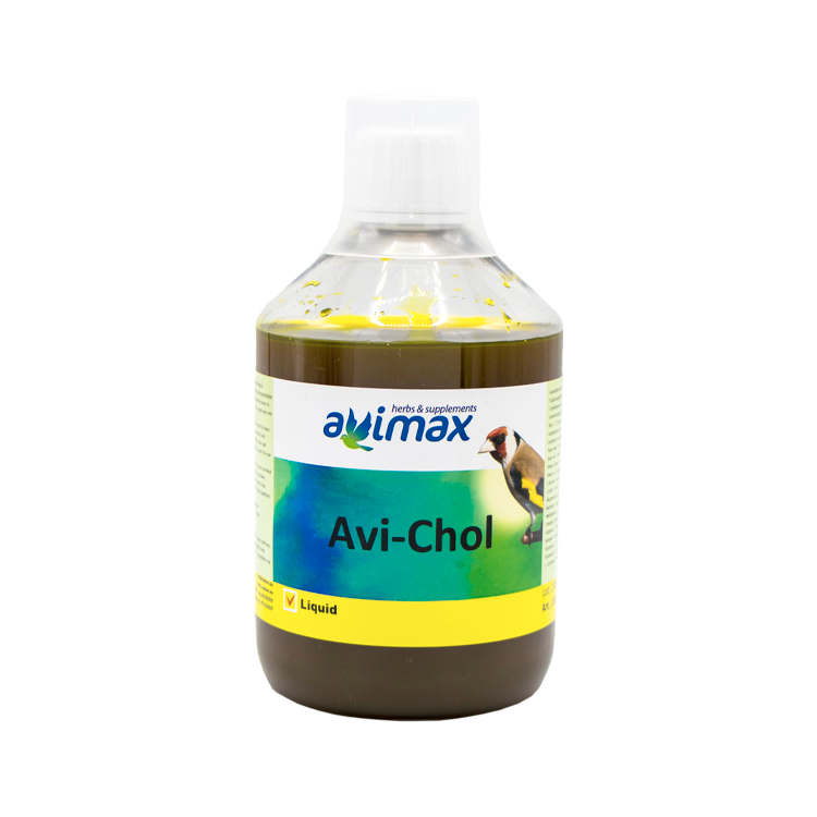 Avi-Chol - 2