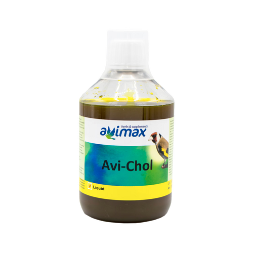 Avi-Chol - 2