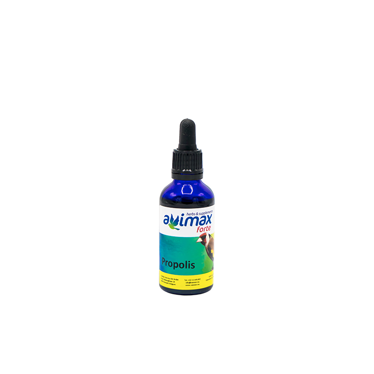 Propolis 50 ml