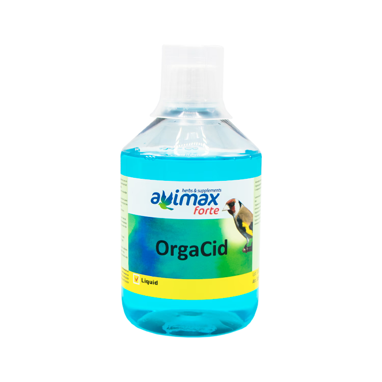 OrgaCid - 2