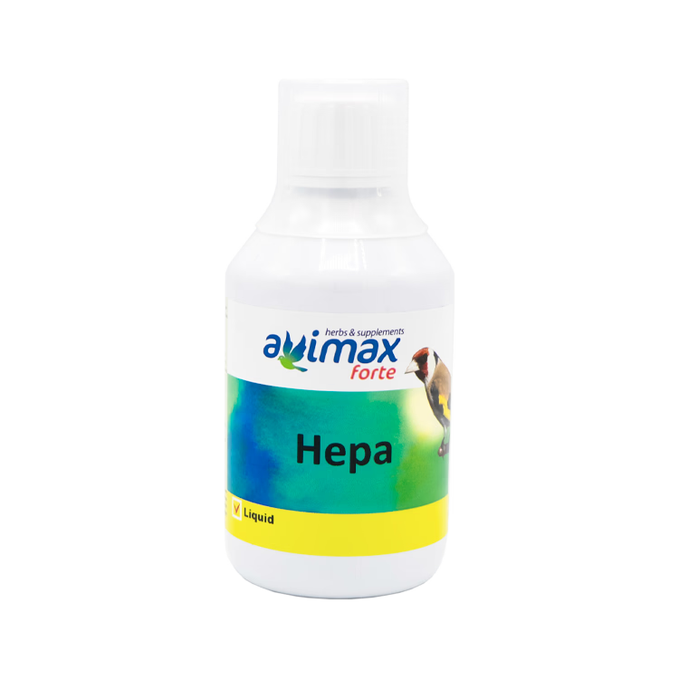Hepa - 3
