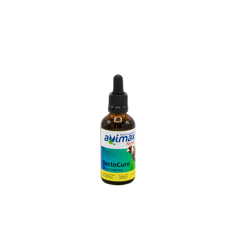 Bacto Cure 50 ml
