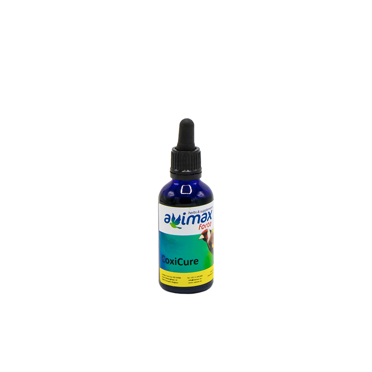 Coxi Cure 50 ml