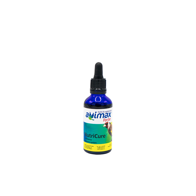 Nutri Cure 50 ml