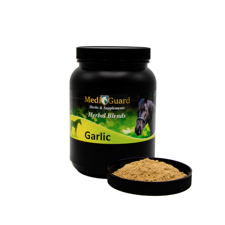 Garlic Powder - 2