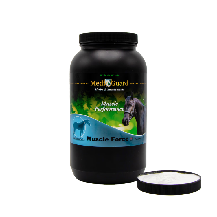 MuscleForce 1,5 kg - 2