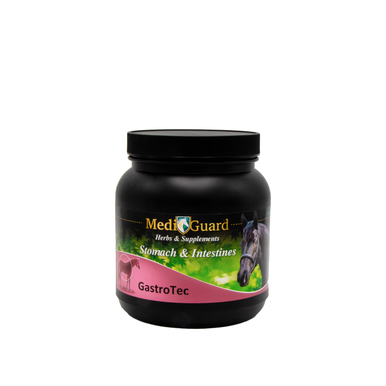 GastroTec