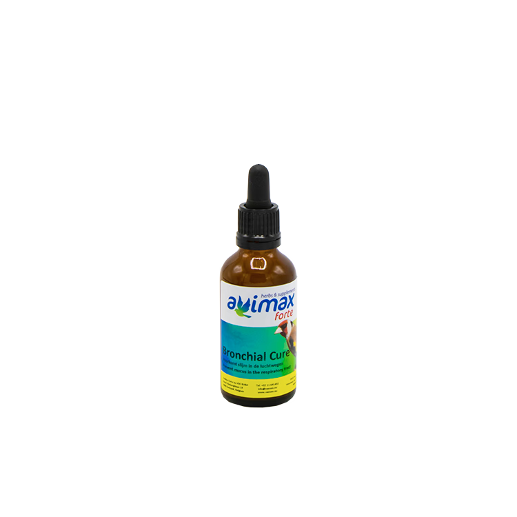 Bronchial Cure 50 ml