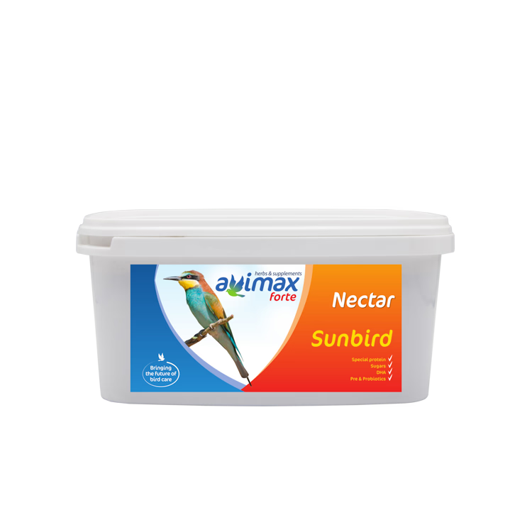 Tanagra "Sunbird" Nectar - 2