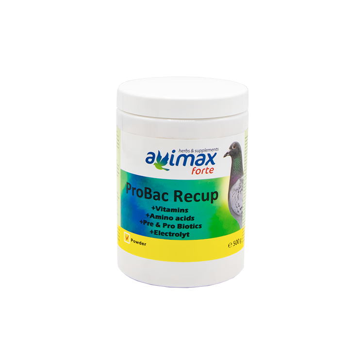 Pigeon Care ProBac Recup 500 g