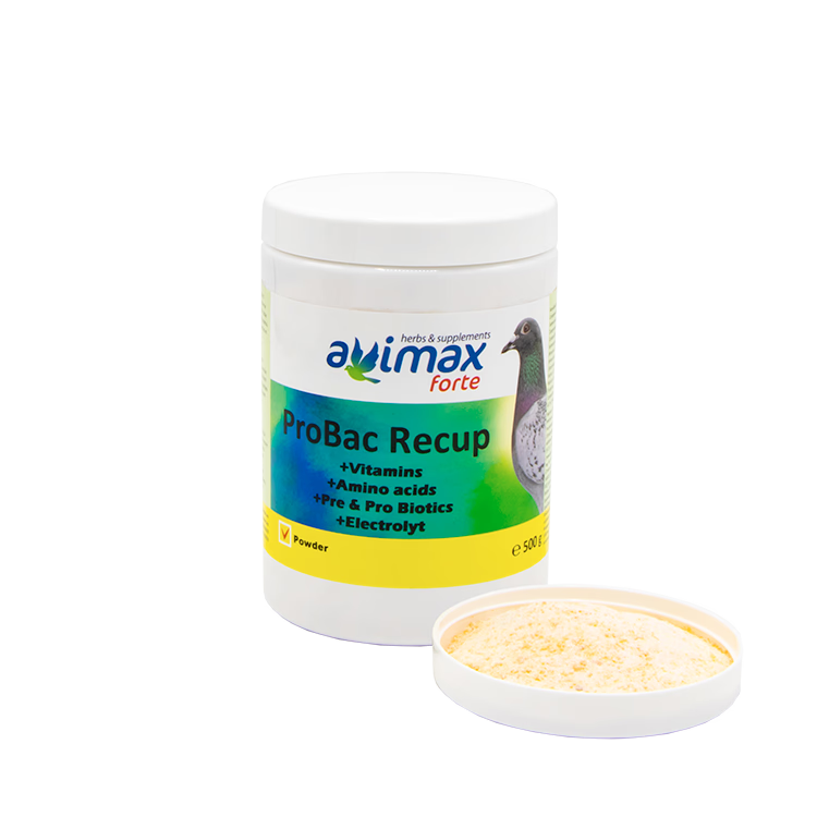 Pigeon Care ProBac Recup 500 g - 2