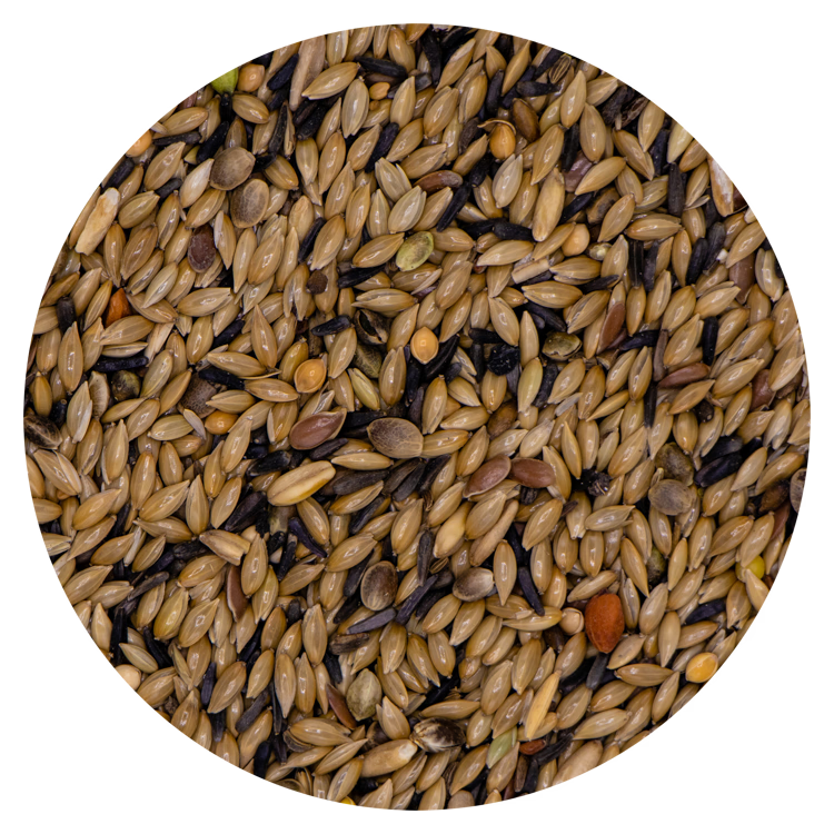 Kanarie Premium zonder raapzaad 12 - 20 kg
