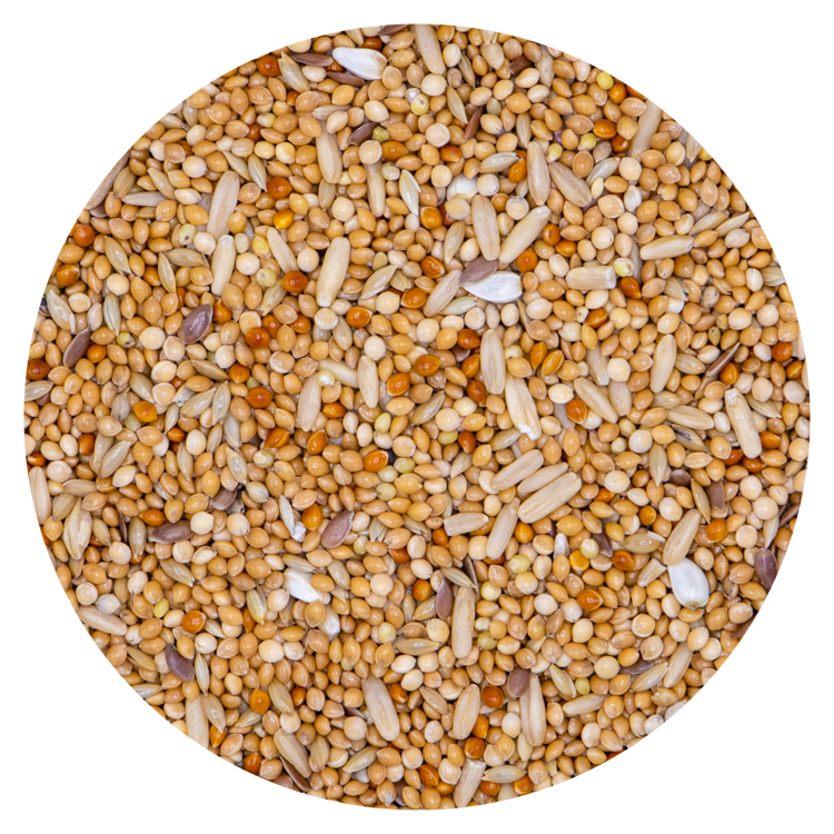 Parkieten Extra 20 - 20 kg