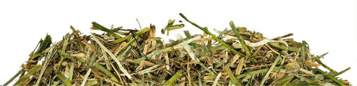 Lucerne Mix 20 kg - 2