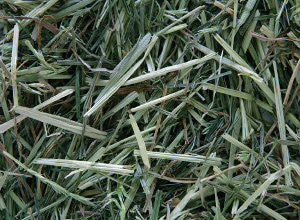 Compact Gras 20kg - 2