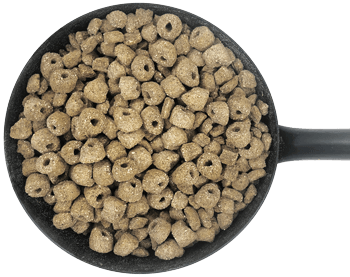 Barley Rings 15 kg - 2