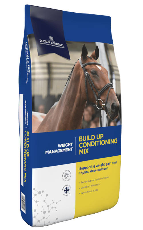 Build Up Conditioning Mix 20 kg