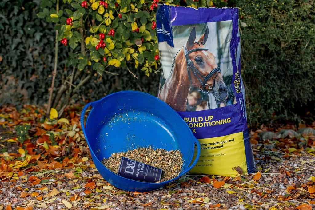 Build Up Conditioning Mix 20 kg - 4