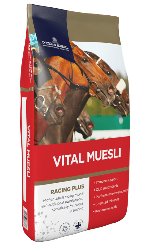 Vital Muesli 20 kg