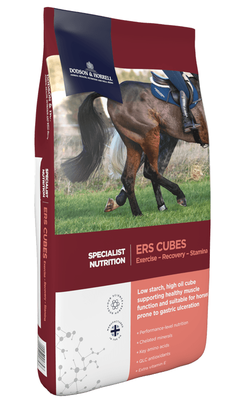 ERS Cubes 20 kg